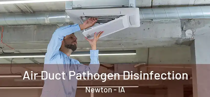  Air Duct Pathogen Disinfection Newton - IA