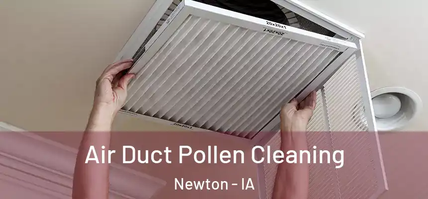  Air Duct Pollen Cleaning Newton - IA