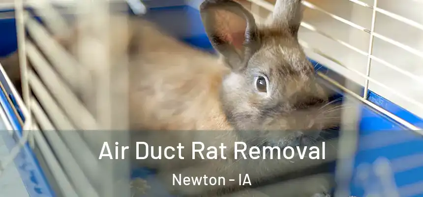 Air Duct Rat Removal Newton - IA