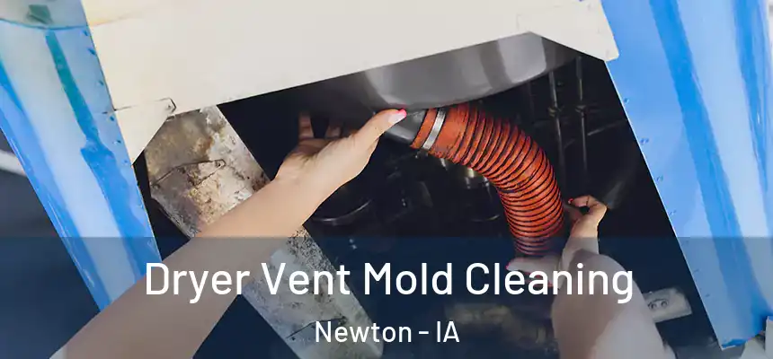  Dryer Vent Mold Cleaning Newton - IA