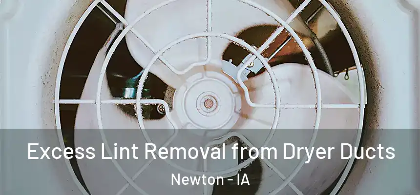  Excess Lint Removal from Dryer Ducts Newton - IA