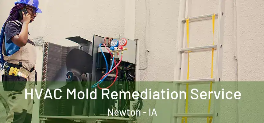  HVAC Mold Remediation Service Newton - IA