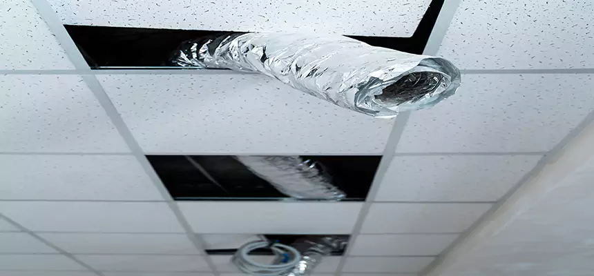 Our Air Duct Pet Hair Removal Services in Newton, IA