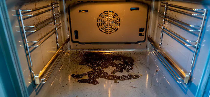 Our Dryer Vent Mold Cleaning Services in Newton, IA