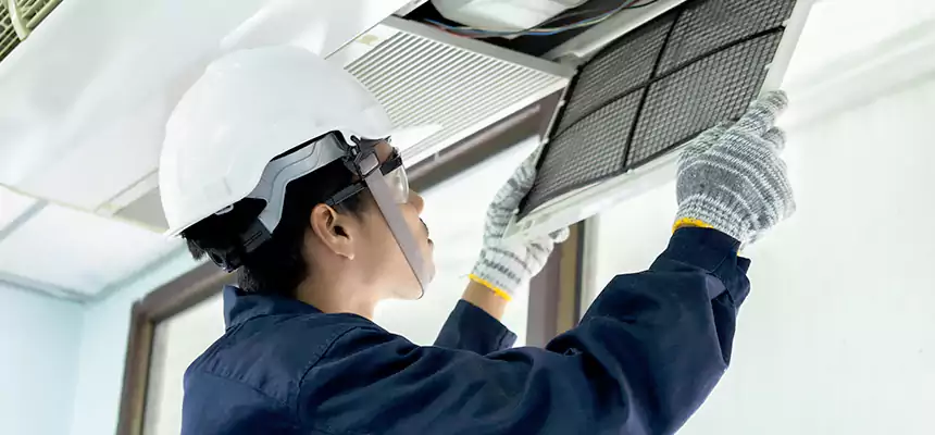 Our Mold & Mildew Removal from Air Ducts Services in Newton, IA