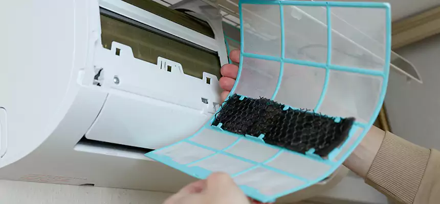 Gentle Ductwork Odor-Control Pet Dander Duct Cleaning in Newton, IA