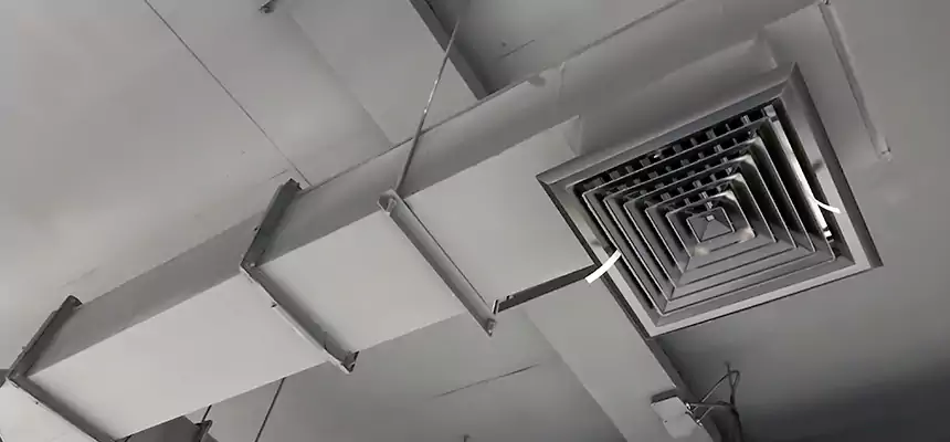 Our Rodent Droppings In Vents Services in Newton, IA