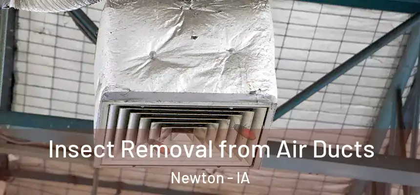  Insect Removal from Air Ducts Newton - IA