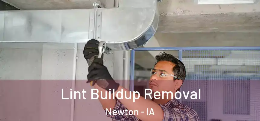  Lint Buildup Removal Newton - IA
