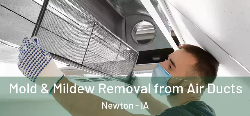  Mold & Mildew Removal from Air Ducts Newton - IA