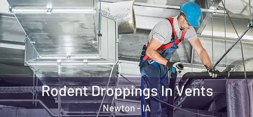  Rodent Droppings In Vents Newton - IA