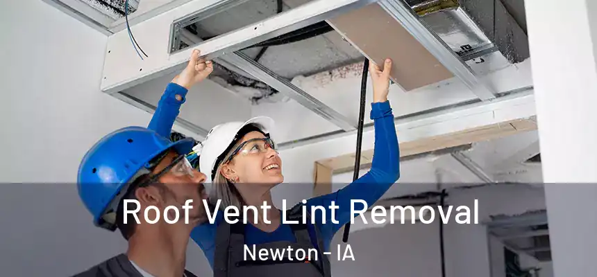  Roof Vent Lint Removal Newton - IA