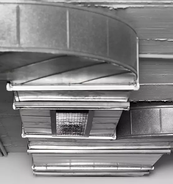 Professional Air Duct Pest Removal in Newton, IA