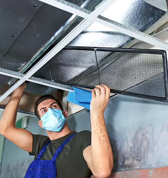 Professional Air Duct Pollen Cleaning in Newton, IA
