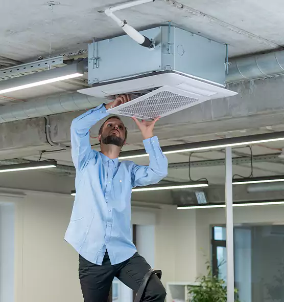 Advanced Rodent Droppings In Vents in Newton, IA