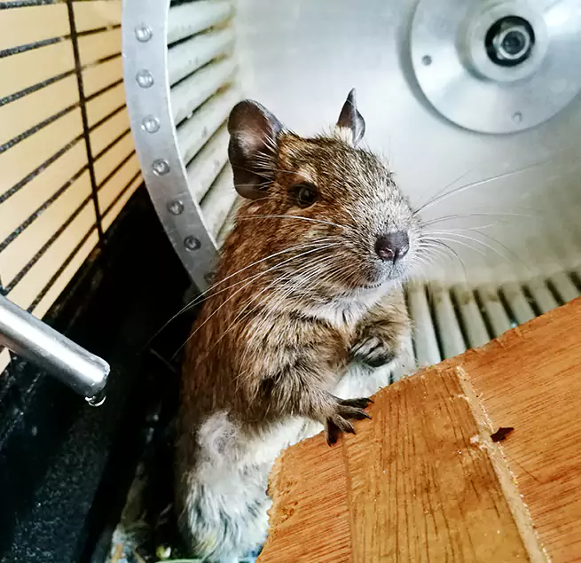 Why Homeowners & Businesses Trust Us Newton, IA