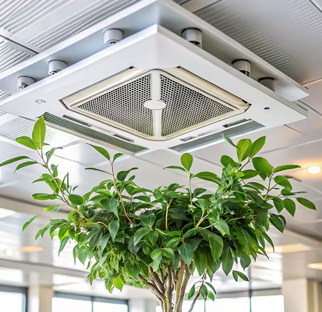 Why Homeowners & Businesses Trust Us in Newton, IA?