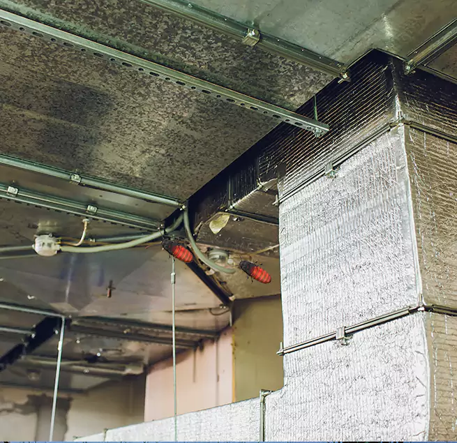 Why Homeowners & Businesses Trust Us Newton, IA?